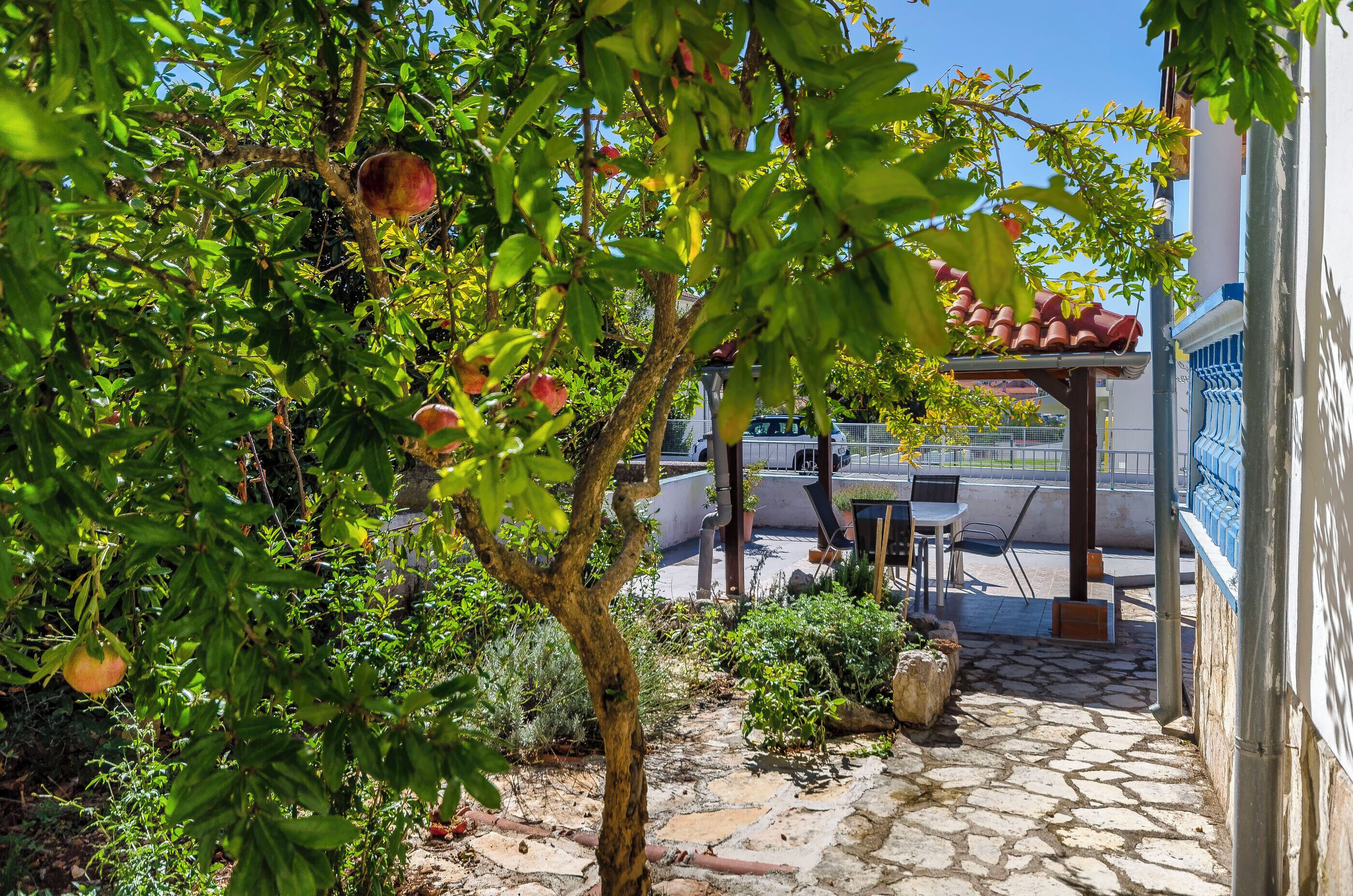 Apartment (A1) | Terrace/patio