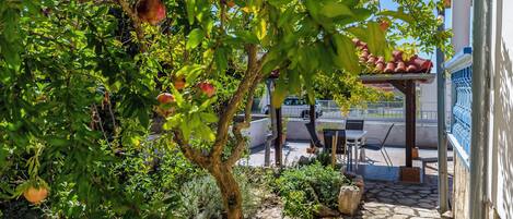 Departamento (A1) | Terraza o patio