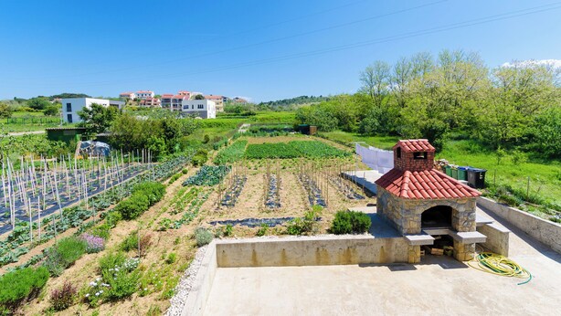 Ein Wohngebiet mit einem Steinofen im Freien, einem Gemüsegarten und Häusern im Hintergrund.
