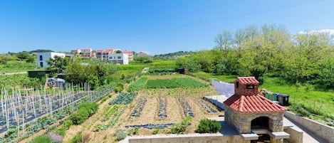 Appartement (A1) | Vue aérienne