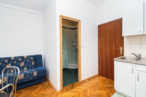 Ein kompakter Wohnbereich mit Sofa, Holzboden, Küchenzeile mit Spüle und Dusche.