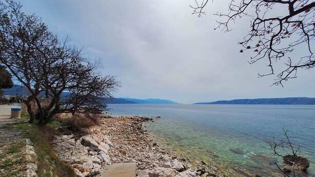 A rocky shoreline with clear water, a tree, and distant mountains. - Apartment Sandra (Novi Vinodolski)