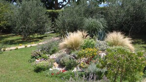 Een verzorgde tuin met diverse planten en bloemen, waaronder lavendel en gele bloemen.