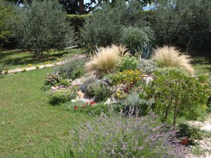 Garden - Apartments Near Beach (Dugi Rat)