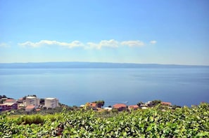 Eine Küstenstadt mit Häusern entlang der Uferlinie, einem klaren Himmel und Blick auf das Meer.