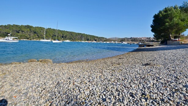 Una spiaggia di ciottoli con barche nell'acqua e un albero sulla destra.