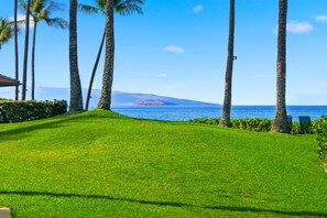 A well-maintained grassy area with palm trees and a view of the ocean. - Stunning Beachfront Condo at Makena Surf Resort #E104 with Panoramic Ocean Views (Makena, Maui)