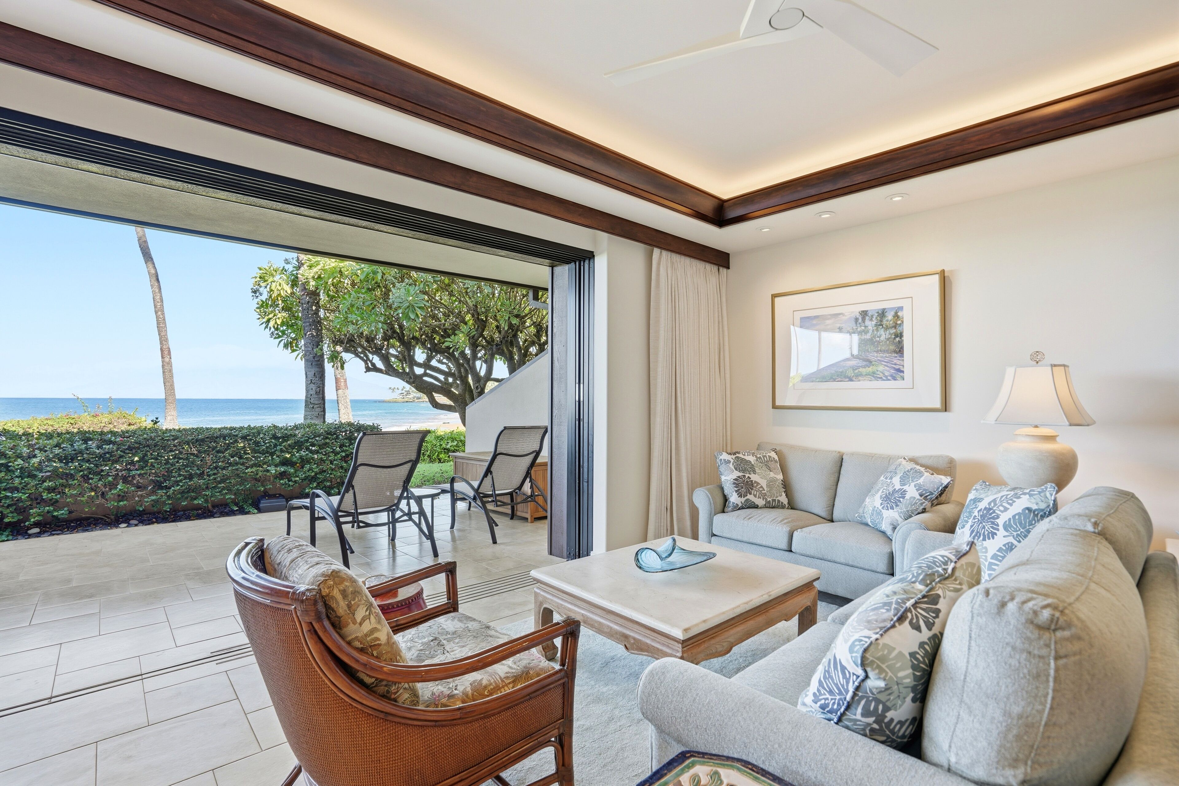 Smart TV, DVD player