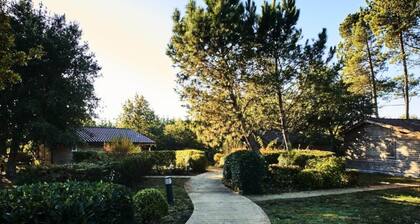 Apartment by Lake Parentis With Pools