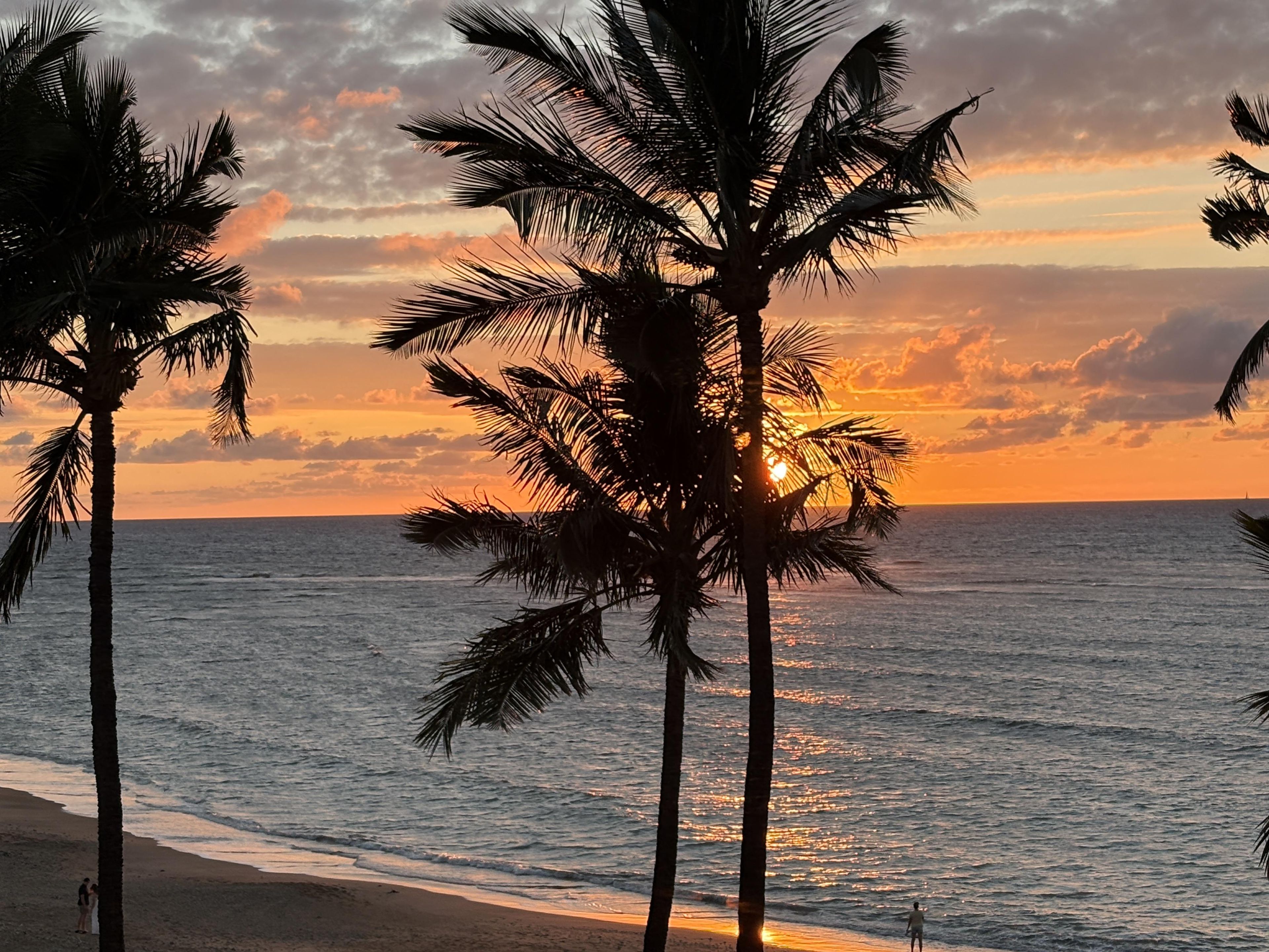 A beach scene with palm trees and the ocean at sunset.