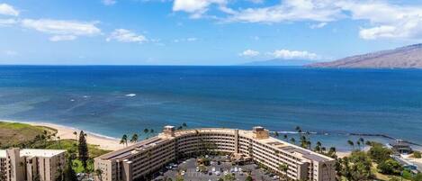 A hotel with a curved building, parking lot, and beachfront view.