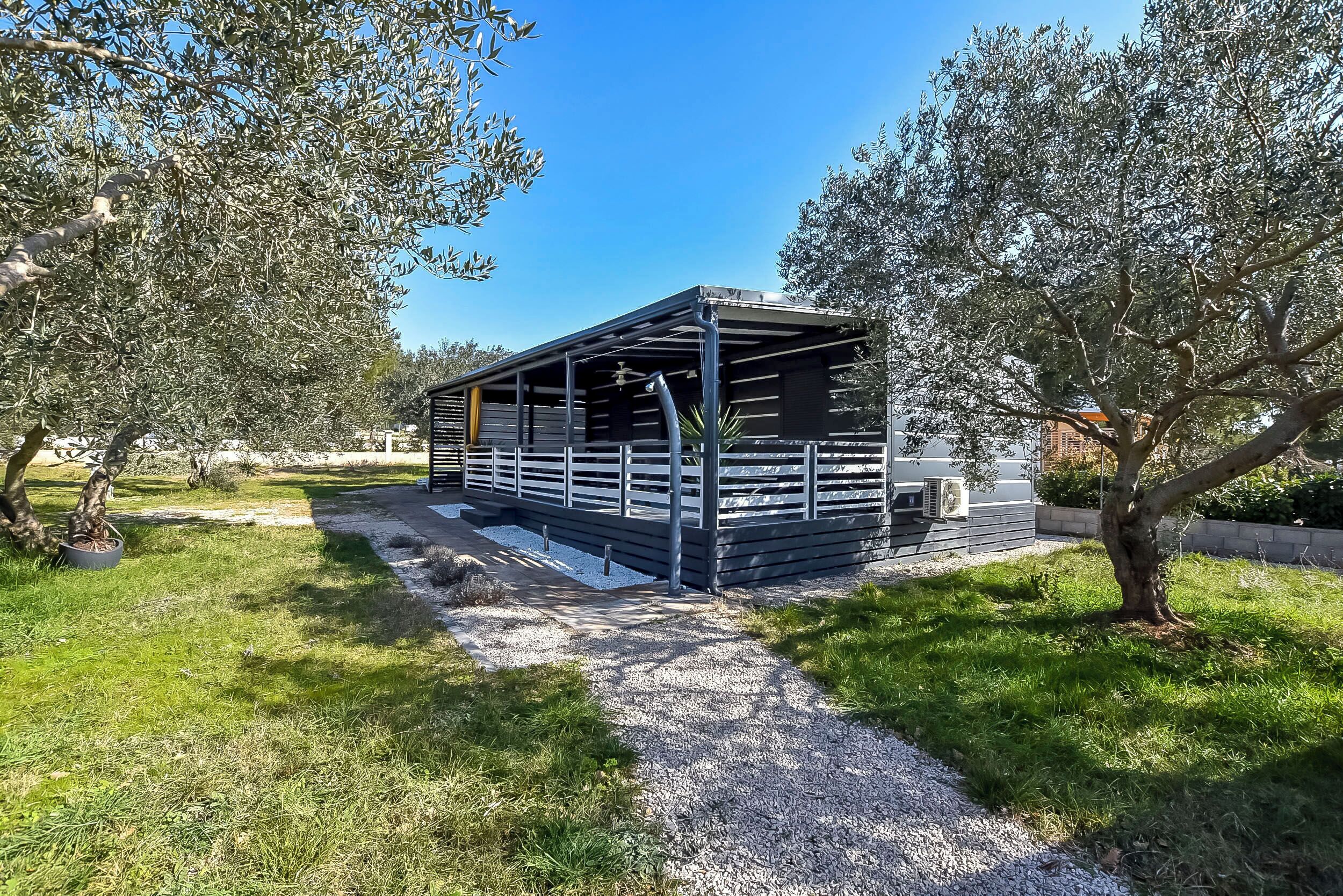 A small, modern building with a covered patio area, surrounded by olive trees and a gravel path.