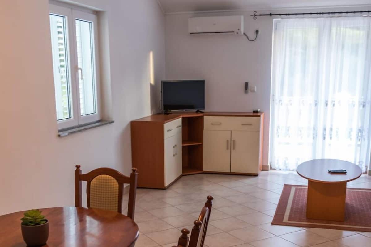 A dining area with a wooden table and chairs, a small potted plant, and a kitchen area with cabinets and a television.