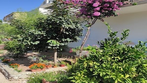 Un jardín con diversas plantas y flores, incluyendo un árbol con flores púrpuras y una planta en maceta con flores anaranjadas.