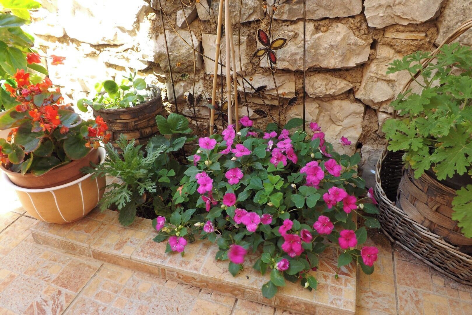 Studio (A4) | Courtyard