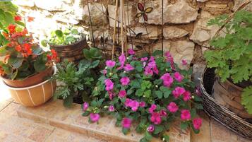 Studio (A4) | Courtyard