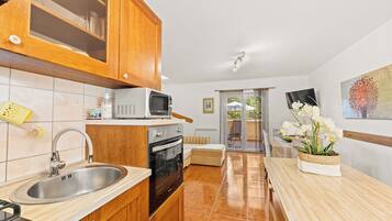 Apartment (A1) | Private kitchen | Fridge, microwave, stovetop, dishwasher