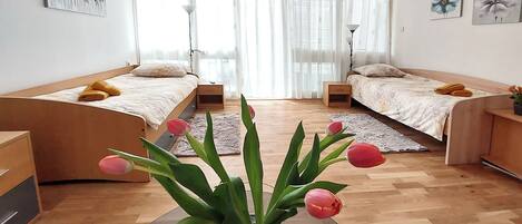 Apartment (A1) | Iron/ironing board, free WiFi