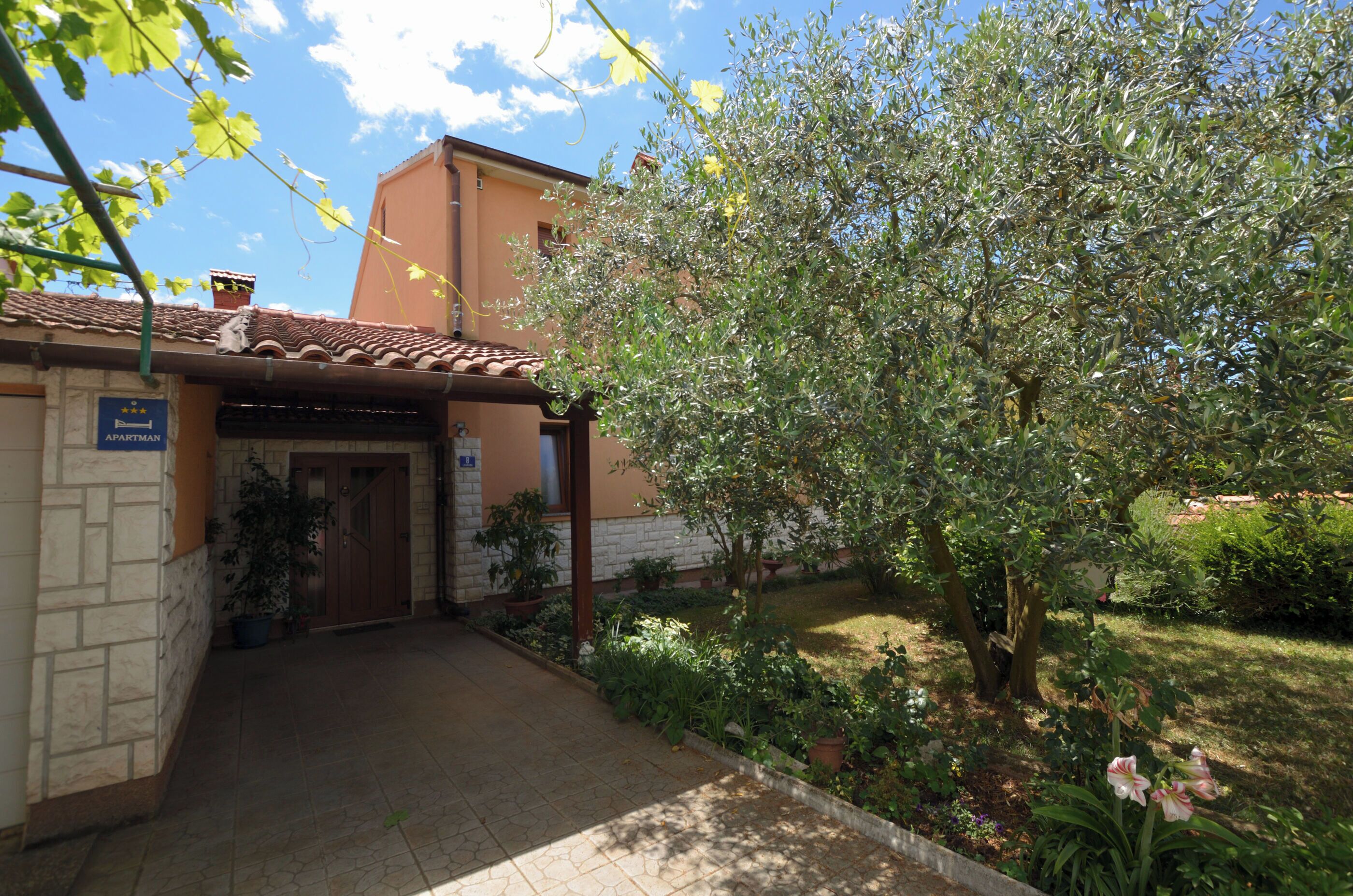 تصميم المبنى