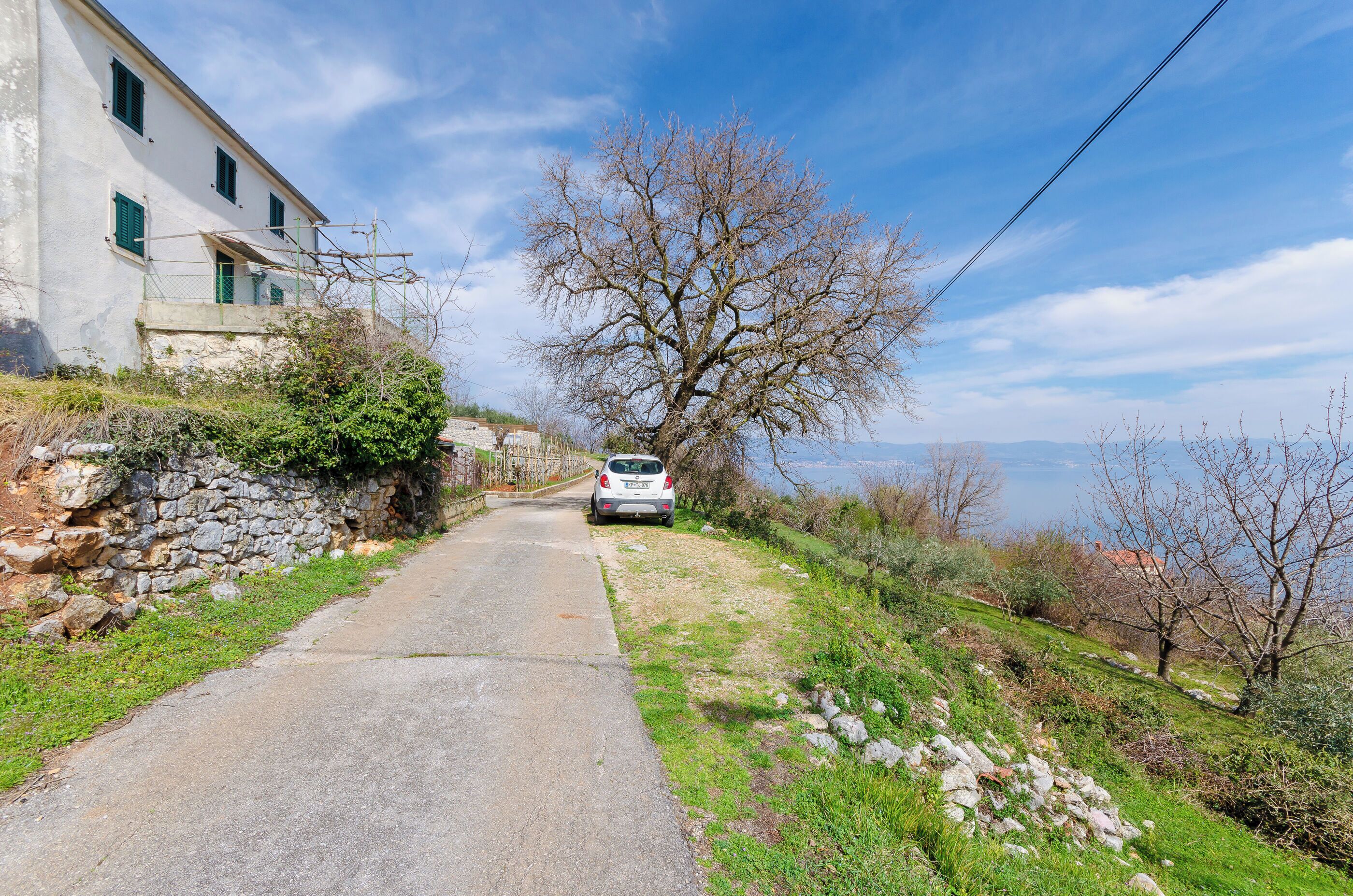 A narrow road leading to a building with a stone wall and a tree.