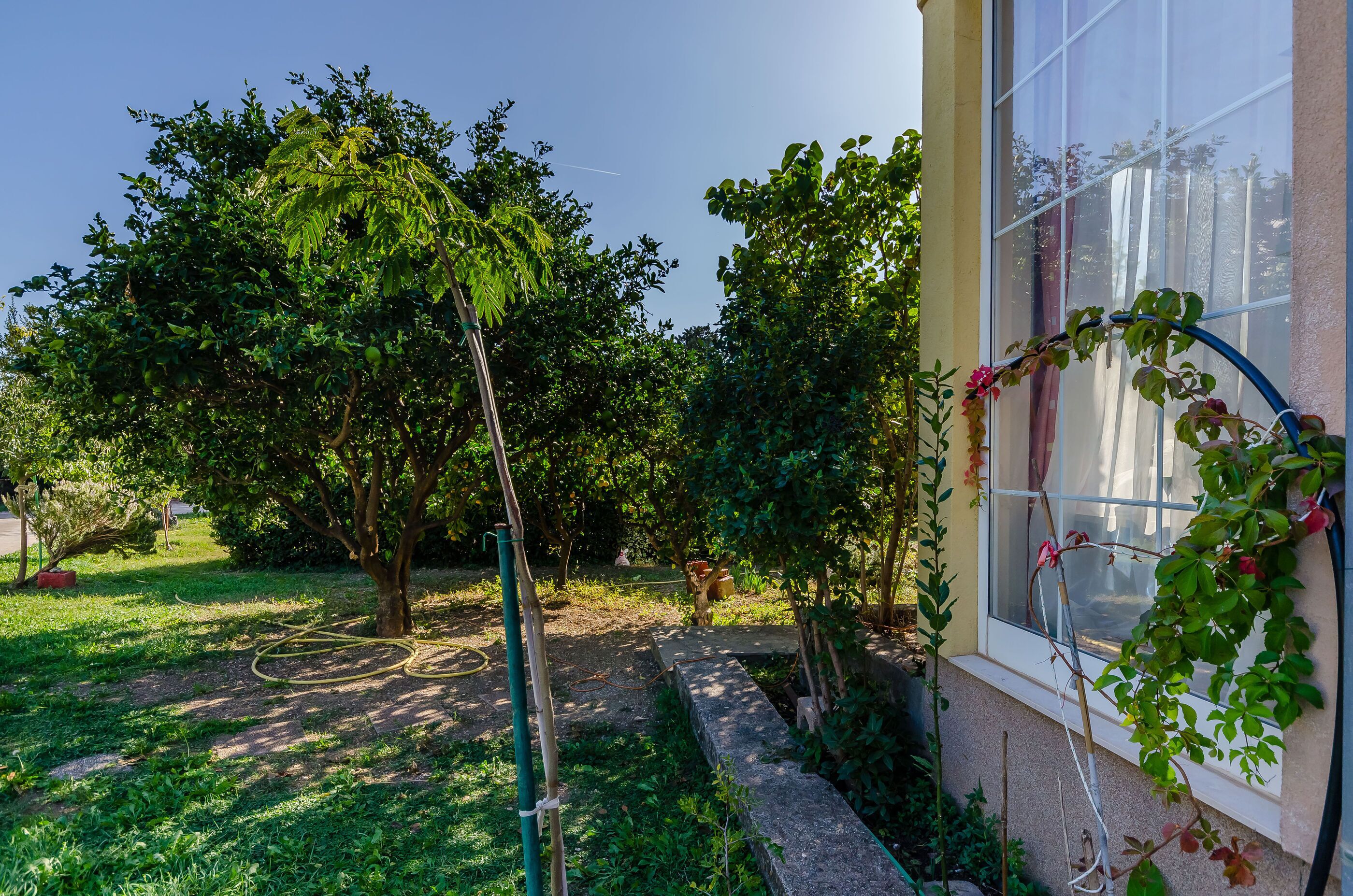 Detalle del exterior