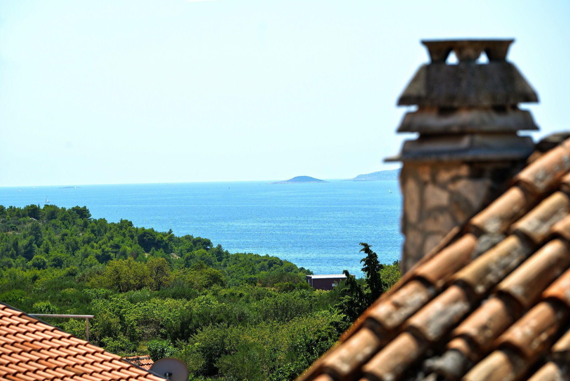 A coastal view with a clear sky, a distant island, and dense green foliage.