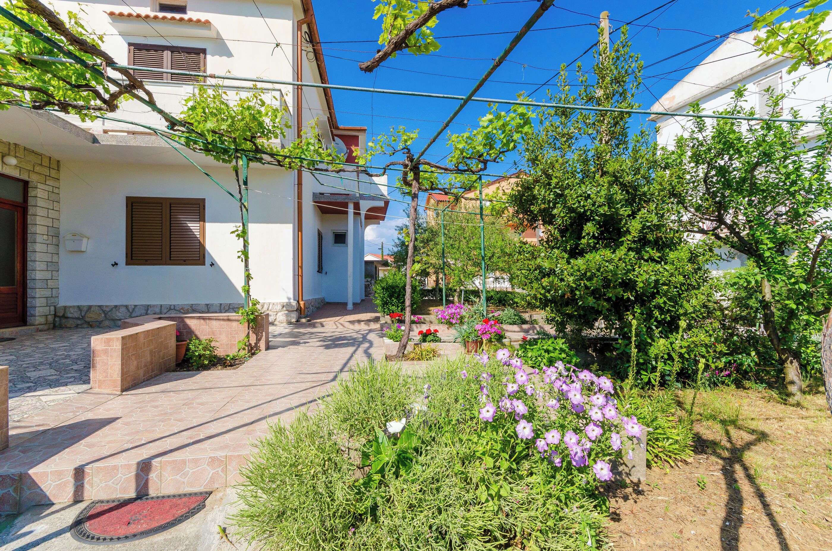 A courtyard with a tiled pathway, potted plants, and flowering shrubs.