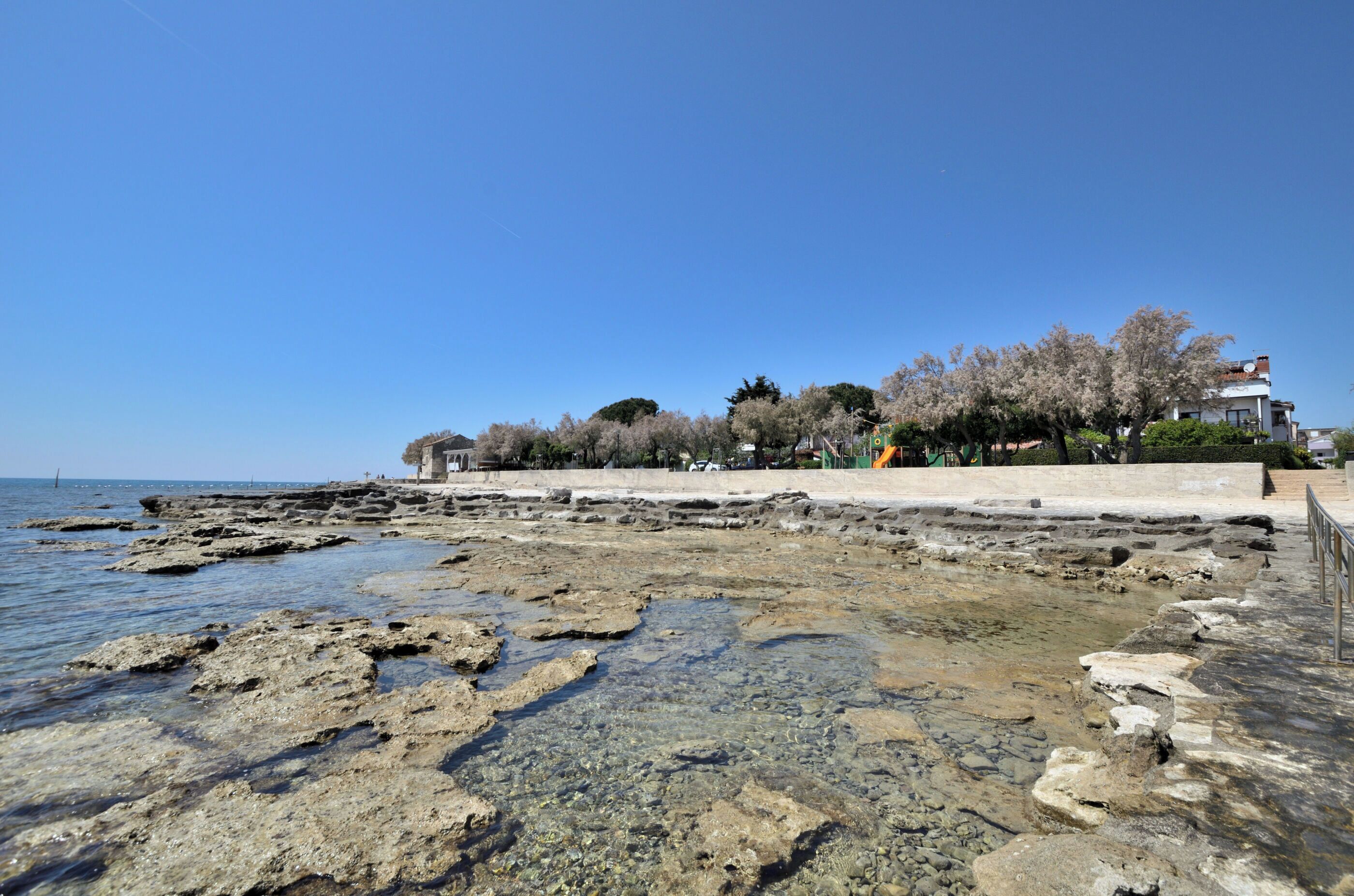 A rocky shoreline with clear water, a paved walkway, and a row of trees and buildings in the background.