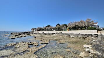A rocky shoreline with clear water, a paved walkway, and a row of trees and buildings in the background.
