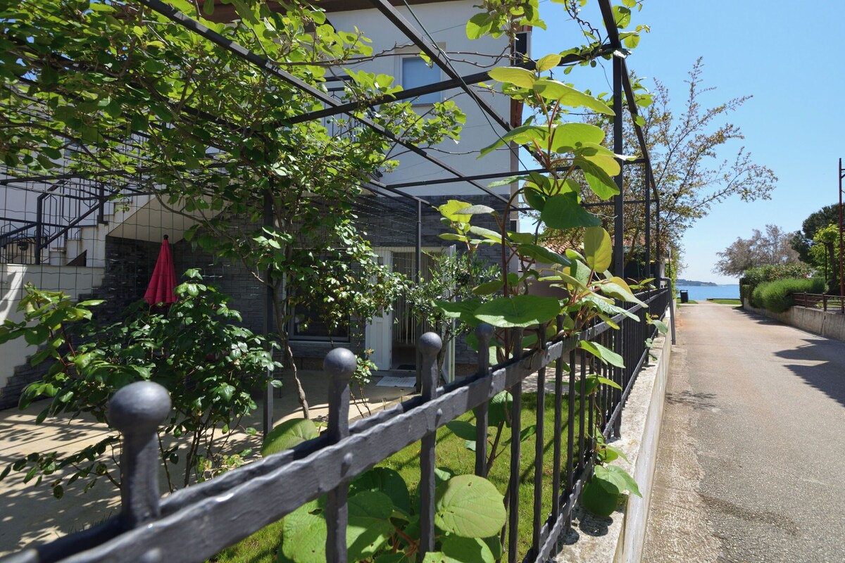 Apartment (A1) | Terrasse/Patio