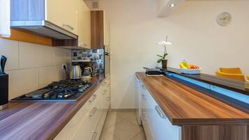 House | Private kitchen | Fridge, microwave, oven, stovetop