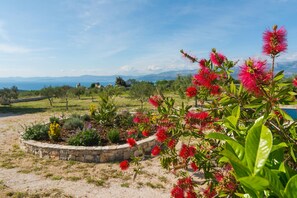 Courtyard - House Blato (Postira)
