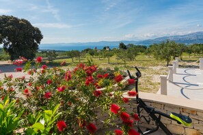 Courtyard - House Blato (Postira)