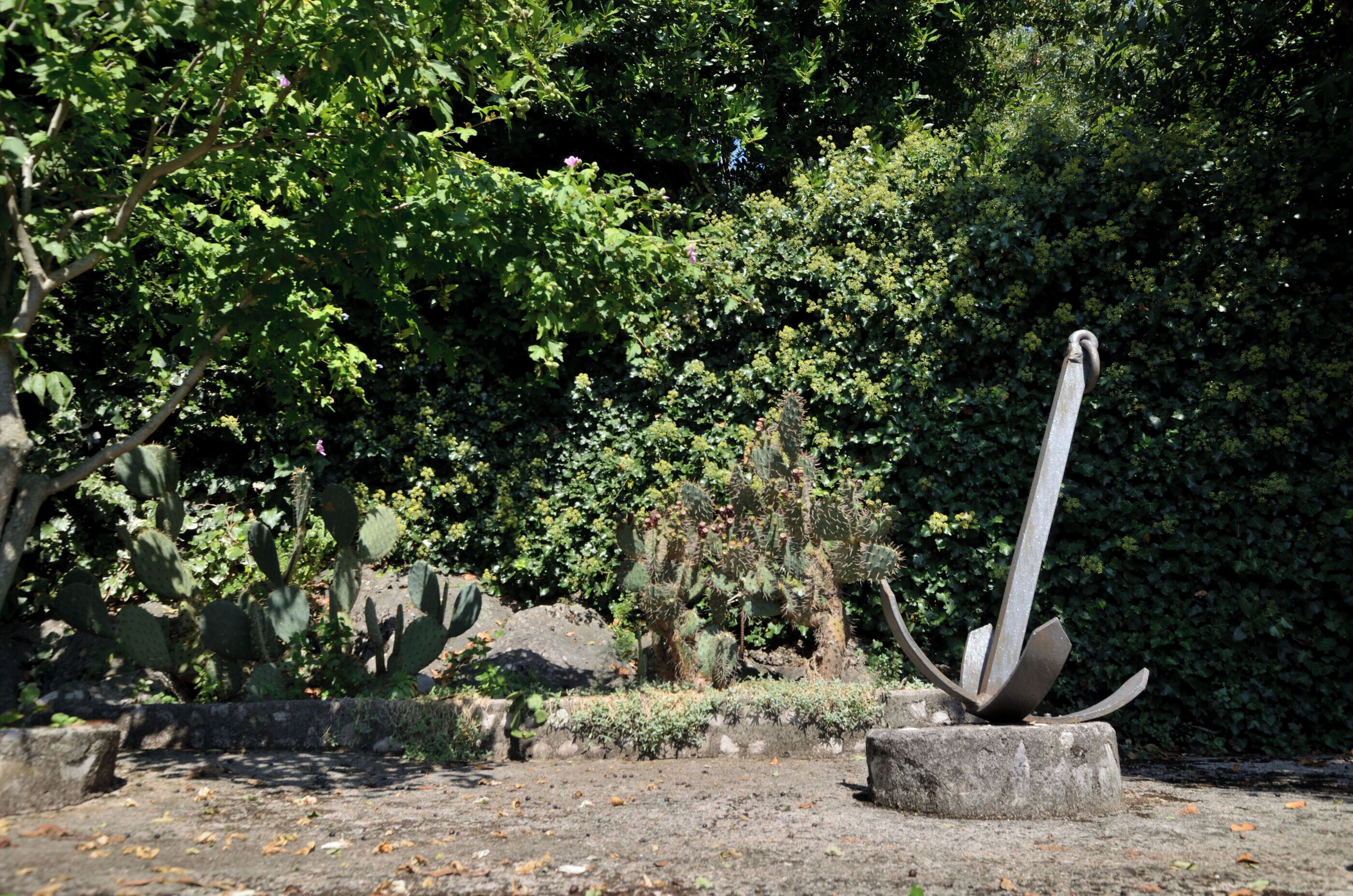 A cactus garden with a metal sculpture.