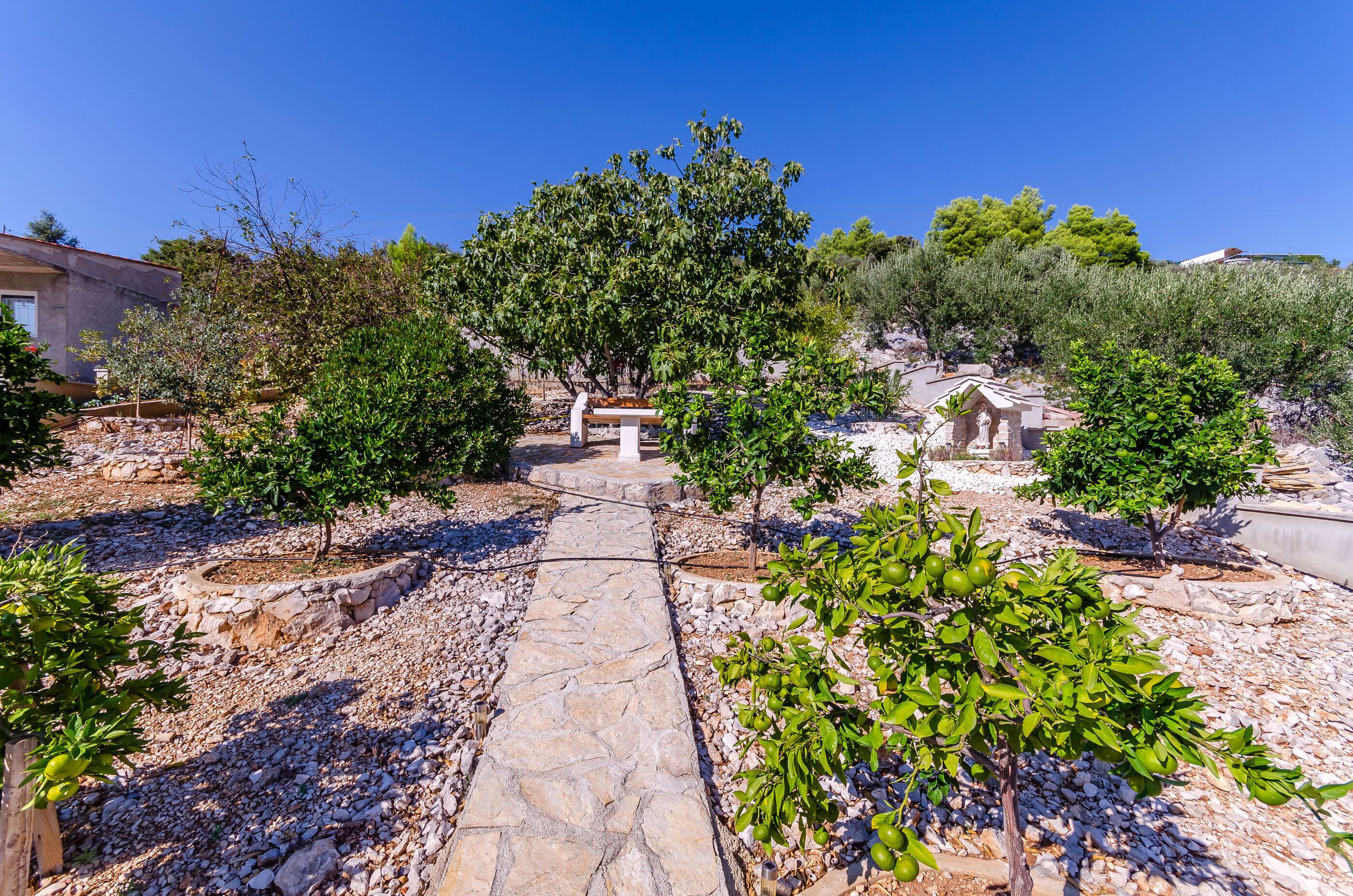 Blick auf den Garten