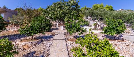 Blick auf den Garten