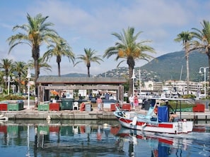 Marina - Spacious apartment with pool and parking near the beach (Le Lavandou)
