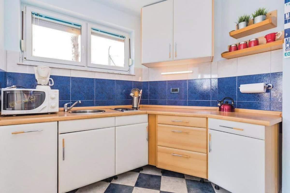 Apartment (A2) | Private kitchen | Fridge, microwave, stovetop, dishwasher