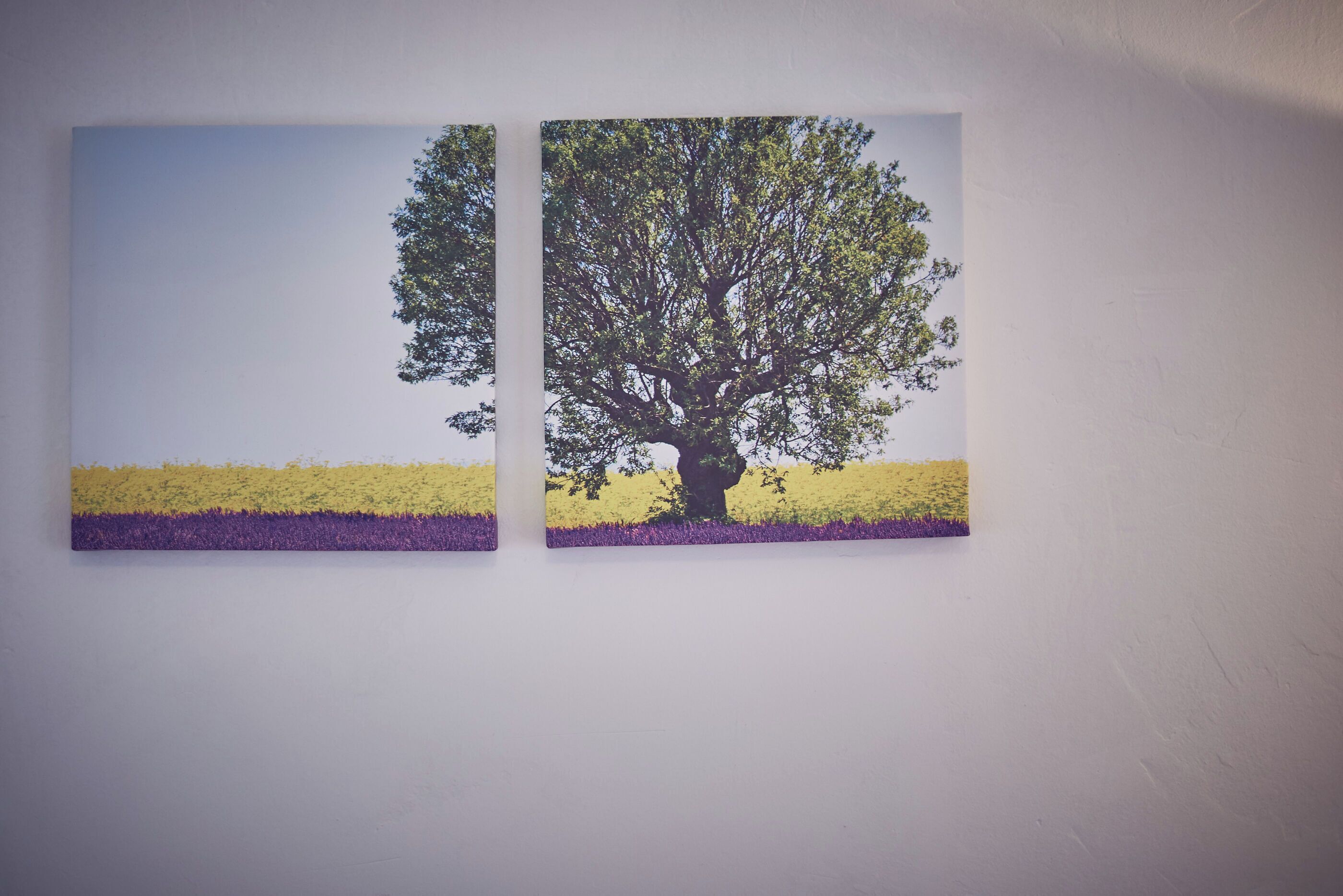 Two paintings of a tree on a wall.