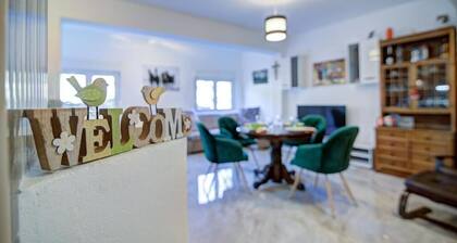 Apartments Velebit House