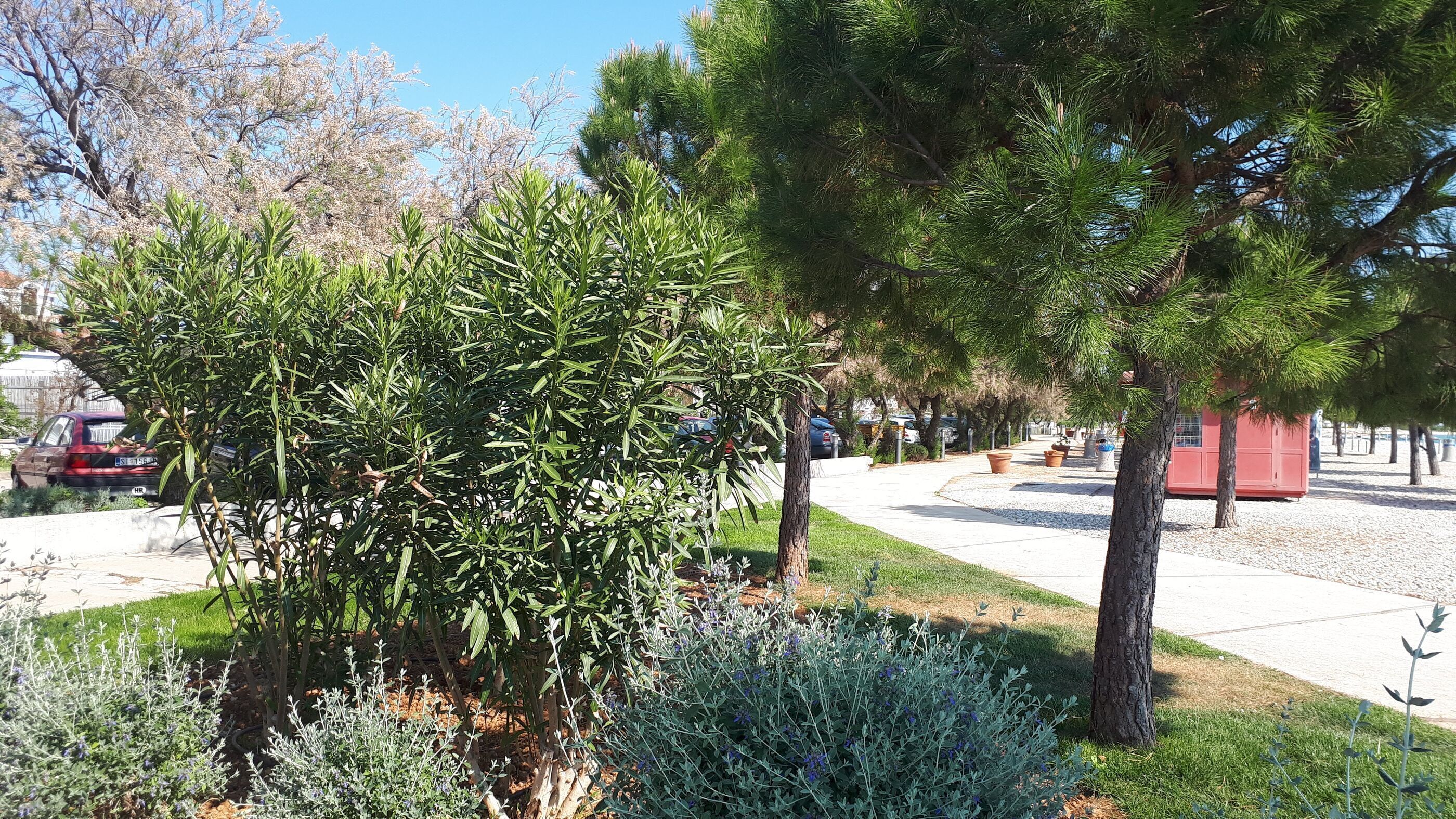 Stadsutsikt från boendet