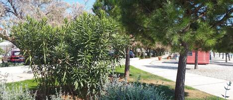 Stadsutsikt från boendet