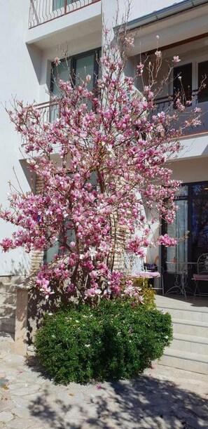 A building with a balcony and a tree with pink flowers in front. - Apartments and Room Wish (Sibenik)