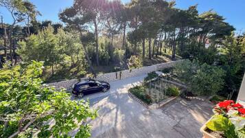 A residential driveway with a parked car, surrounded by trees and a stone wall.