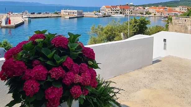 En balkon med en stor potteplante med lyserøde blomster, blå himmel og udsigt over en kystby med bygninger og lystbådehavn.