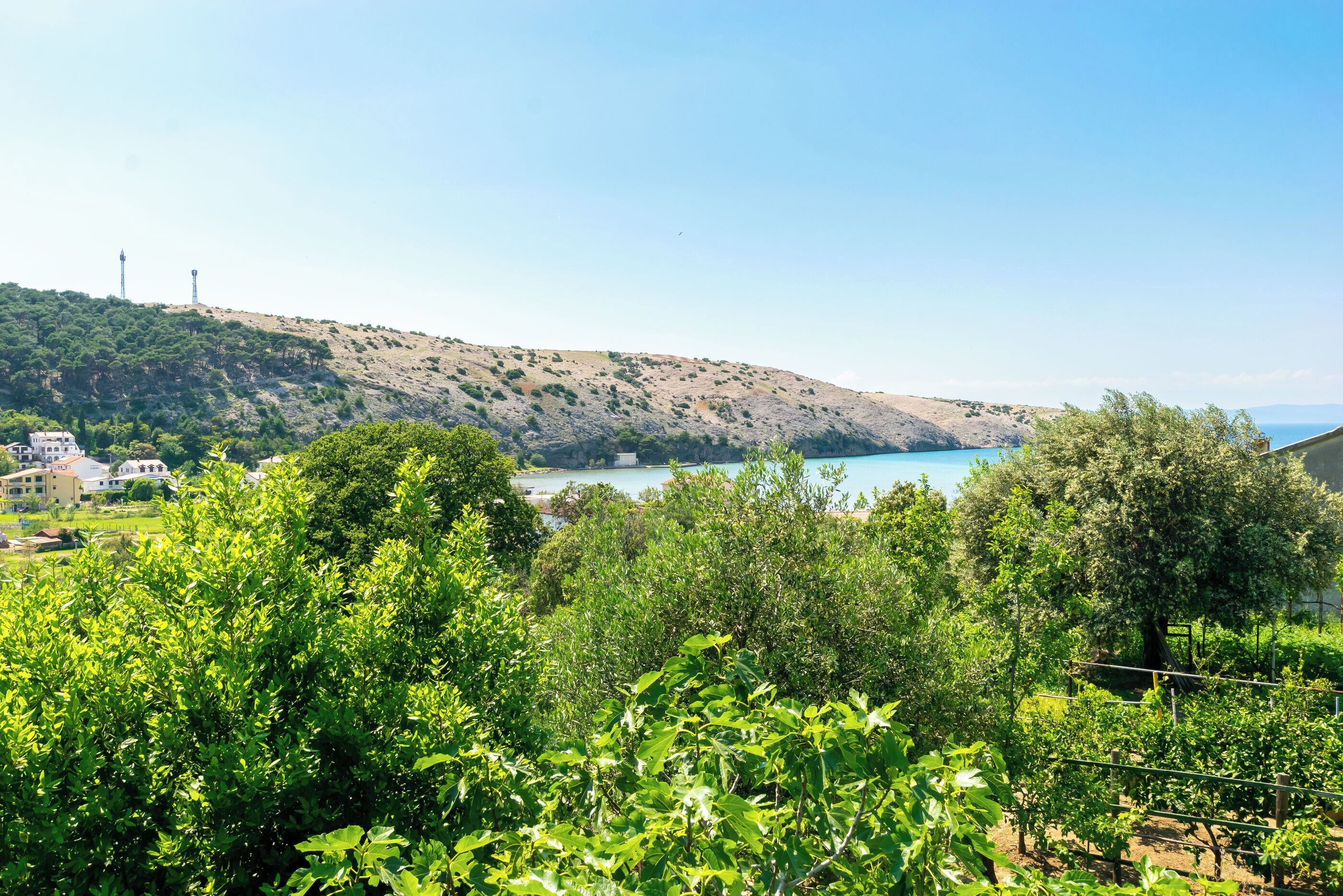 Paesaggio costiero con una collina, vegetazione e una distesa d'acqua.