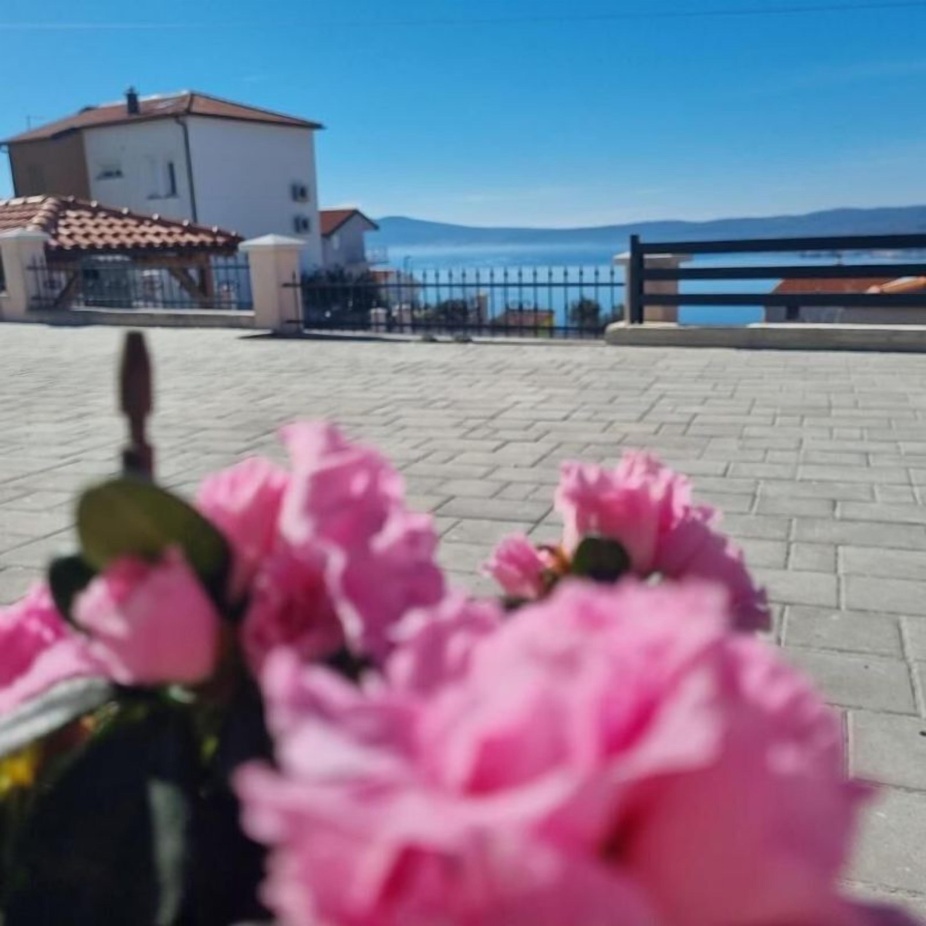 Apartment (A2) | Water view