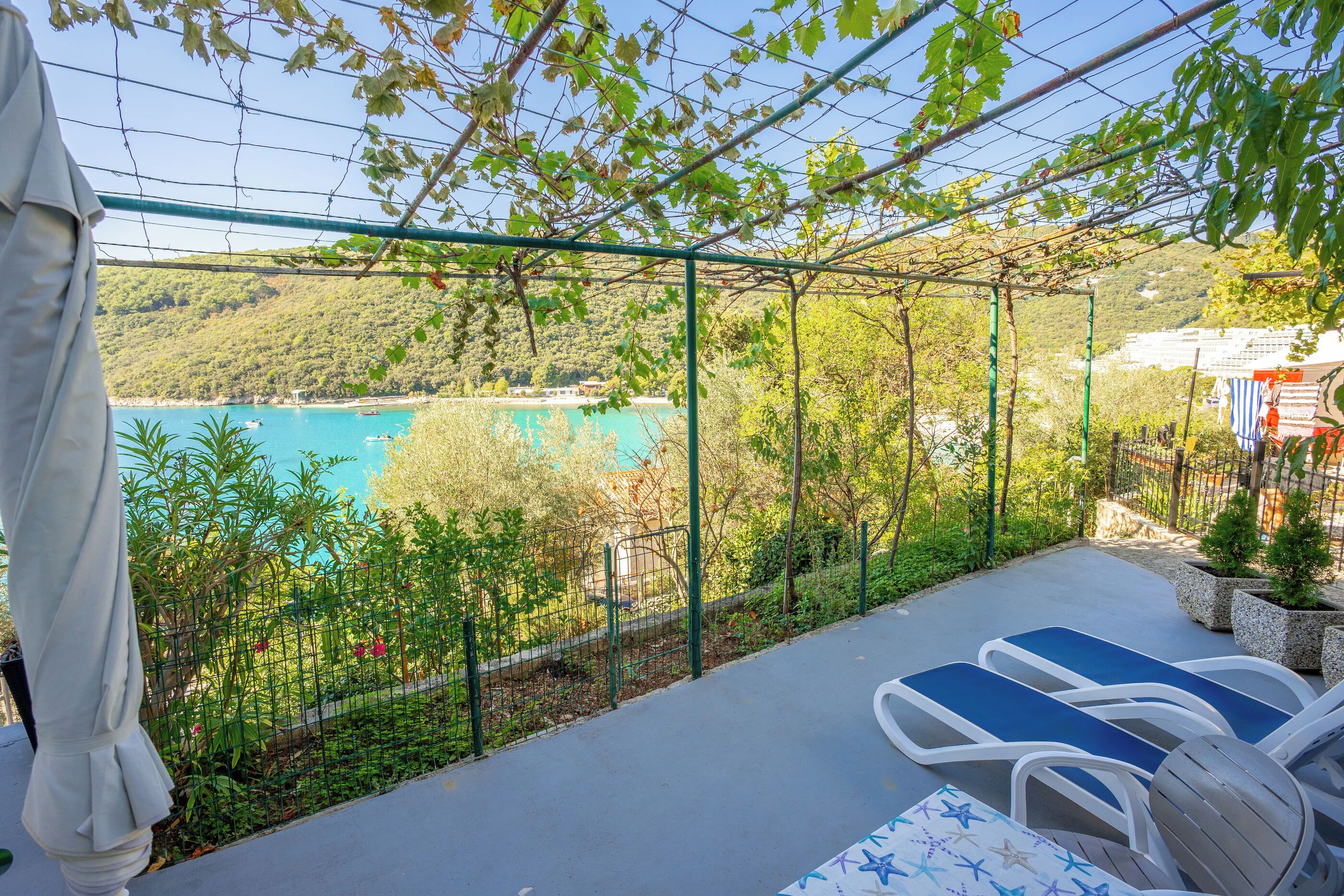 A terrace with a view of a lake, a pergola with vines, and lounge chairs.