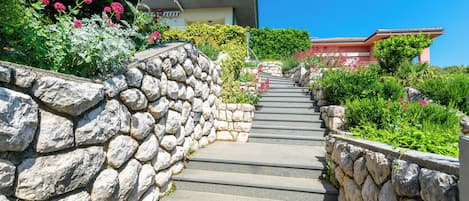 庭院