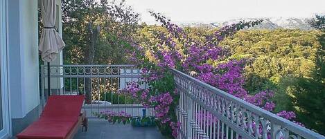 Studio (A1) | Terrasse/Patio